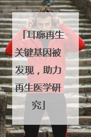 耳廓再生关键基因被发现，助力再生医学研究