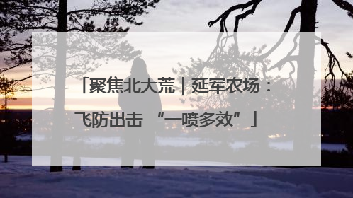 聚焦北大荒｜延军农场：飞防出击 “一喷多效”