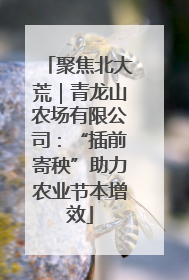 聚焦北大荒｜青龙山农场有限公司：“插前寄秧”助力农业节本增效