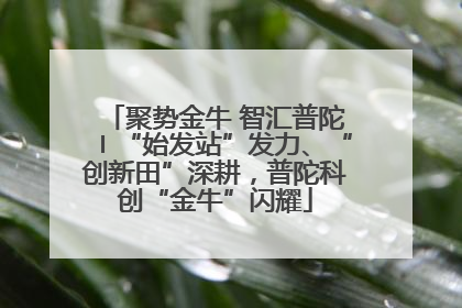 聚势金牛 智汇普陀〡“始发站”发力、“创新田”深耕，普陀科创“金牛”闪耀