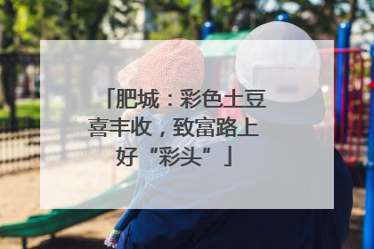 肥城：彩色土豆喜丰收，致富路上好“彩头”