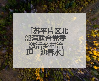 苏平片区北部湾联合党委 激活乡村治理一池春水