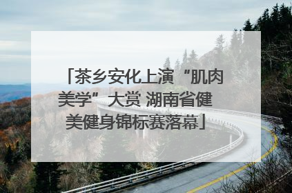 茶乡安化上演“肌肉美学”大赏 湖南省健美健身锦标赛落幕