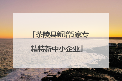 茶陵县新增5家专精特新中小企业