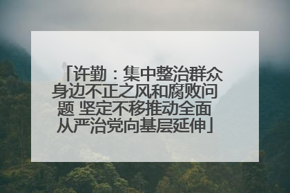 许勤：集中整治群众身边不正之风和腐败问题 坚定不移推动全面从严治党向基层延伸