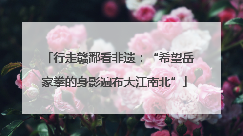 行走赣鄱看非遗：“希望岳家拳的身影遍布大江南北”