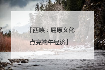 西峡：屈原文化点亮端午经济