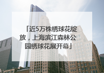 近5万株绣球花绽放，上海滨江森林公园绣球花展开幕