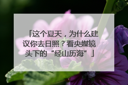 这个夏天，为什么建议你去日照？看央媒镜头下的“经山历海”