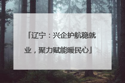辽宁：兴企护航稳就业，聚力赋能暖民心