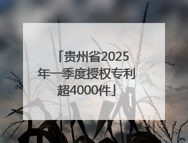 贵州省2025年一季度授权专利超4000件
