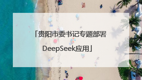 贵阳市委书记专题部署DeepSeek应用