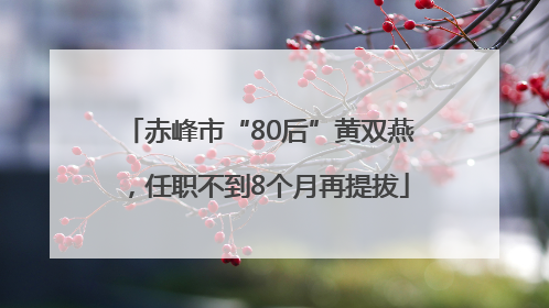 赤峰市“80后”黄双燕，任职不到8个月再提拔