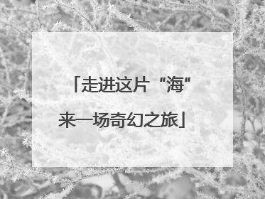 走进这片“海”来一场奇幻之旅