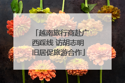 越南旅行商赴广西踩线 访胡志明旧居促旅游合作