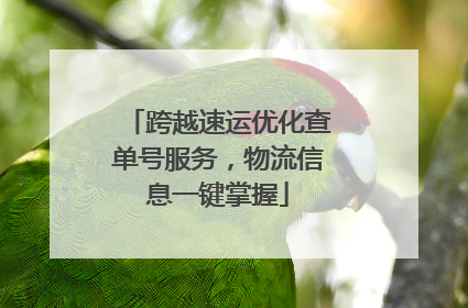 跨越速运优化查单号服务，物流信息一键掌握