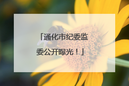 通化市纪委监委公开曝光！