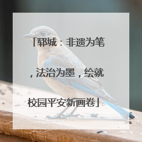 郓城：非遗为笔，法治为墨，绘就校园平安新画卷