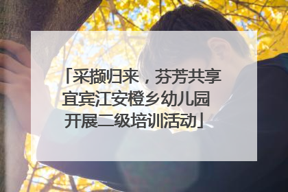 采撷归来，芬芳共享 宜宾江安橙乡幼儿园开展二级培训活动