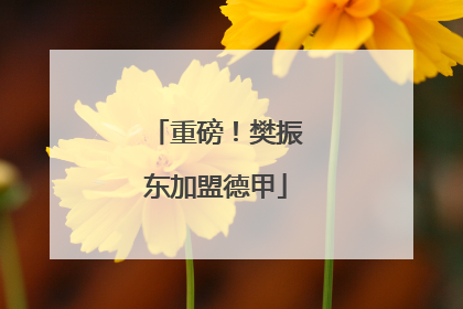 重磅！樊振东加盟德甲