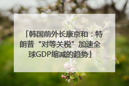 韩国前外长康京和：特朗普“对等关税”加速全球GDP缩减的趋势