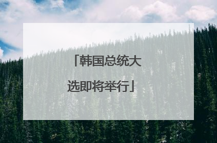 韩国总统大选即将举行