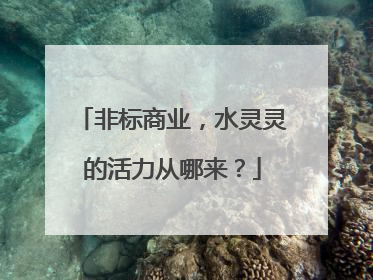 非标商业，水灵灵的活力从哪来？