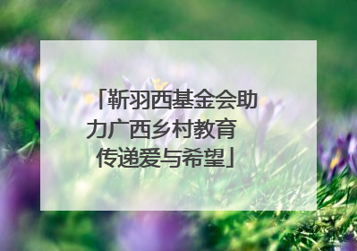 靳羽西基金会助力广西乡村教育 传递爱与希望