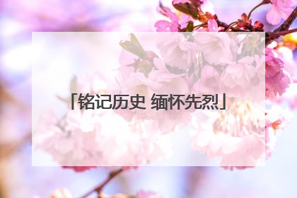 铭记历史 缅怀先烈