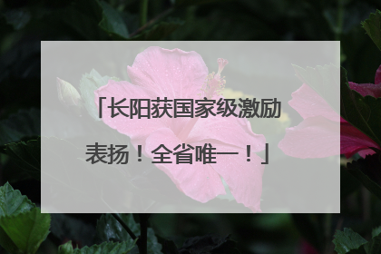 长阳获国家级激励表扬！全省唯一！