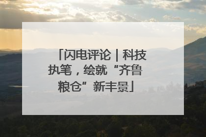 闪电评论｜科技执笔，绘就“齐鲁粮仓”新丰景