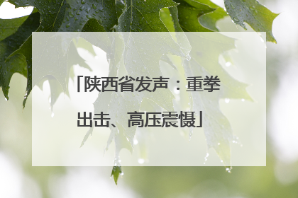 陕西省发声：重拳出击、高压震慑