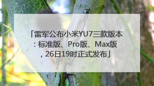 雷军公布小米YU7三款版本：标准版、Pro版、Max版，26日19时正式发布