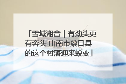 雪域湘音｜有劲头更有奔头 山南市桑日县的这个村落迎来蜕变