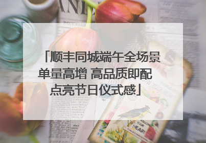 顺丰同城端午全场景单量高增 高品质即配点亮节日仪式感