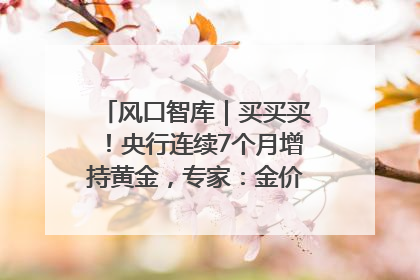 风口智库｜买买买！央行连续7个月增持黄金，专家：金价或仍易涨难跌