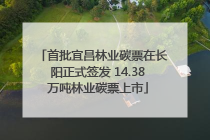 首批宜昌林业碳票在长阳正式签发 14.38万吨林业碳票上市