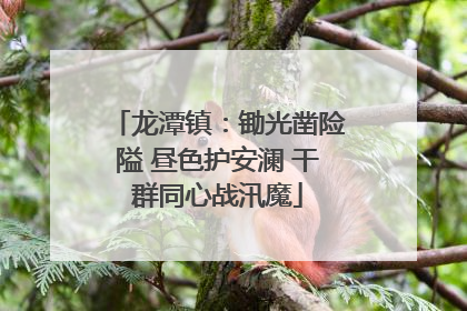 龙潭镇：锄光凿险隘 昼色护安澜 干群同心战汛魔
