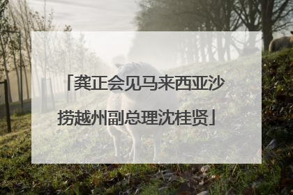 龚正会见马来西亚沙捞越州副总理沈桂贤