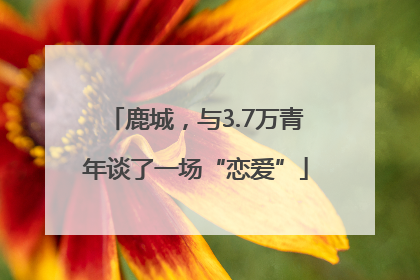 鹿城，与3.7万青年谈了一场“恋爱”