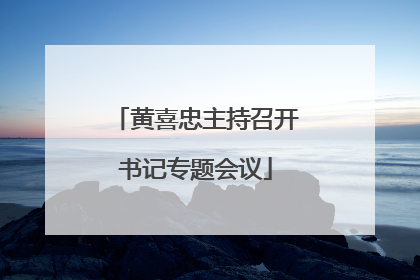 黄喜忠主持召开书记专题会议