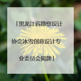 黑龙江省勘察设计协会冰雪创意设计专业委员会揭牌
