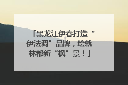 黑龙江伊春打造“伊法调”品牌，绘就林都新“枫”景！