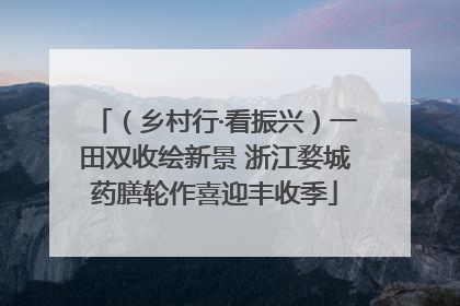 （乡村行·看振兴）一田双收绘新景 浙江婺城药膳轮作喜迎丰收季