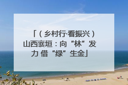 （乡村行·看振兴）山西襄垣：向“林”发力 借“绿”生金