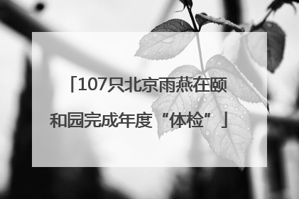 107只北京雨燕在颐和园完成年度“体检”