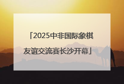 2025中非国际象棋友谊交流赛长沙开幕
