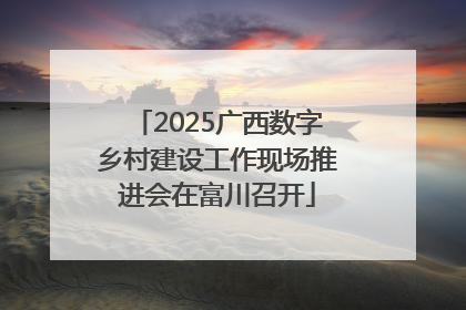 2025广西数字乡村建设工作现场推进会在富川召开