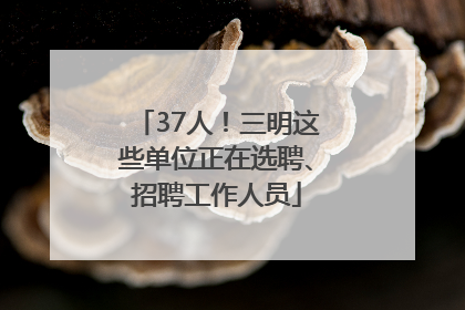 37人！三明这些单位正在选聘、招聘工作人员