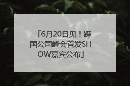 6月20日见！跨国公司峰会首发SHOW嘉宾公布